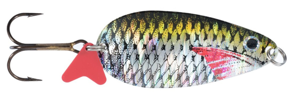 WAHAD��WKA KARA� SCOT 3 D JAXON